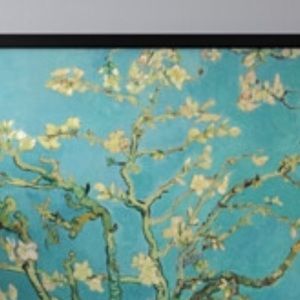 Meet your Posher, Wilma